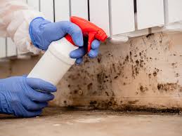 Best Industrial Mold Remediation  in Freeland, PA